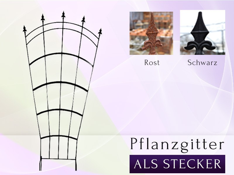 Pflanzgitter - Spalier B 1,0 m H 1,60 m