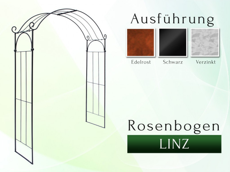 Rosenbogen LINZ