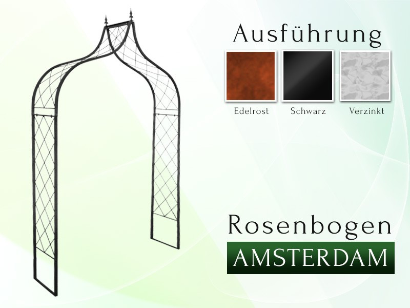 Rosenbogen AMSTERDAM