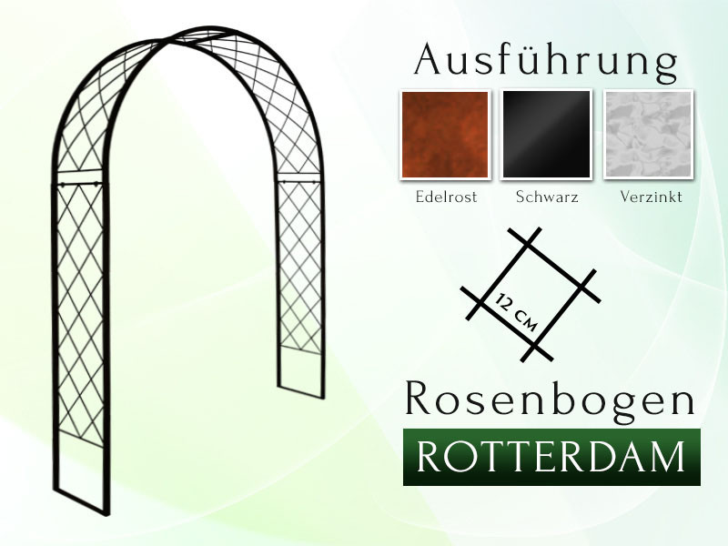 Rosenbogen ROTTERDAM