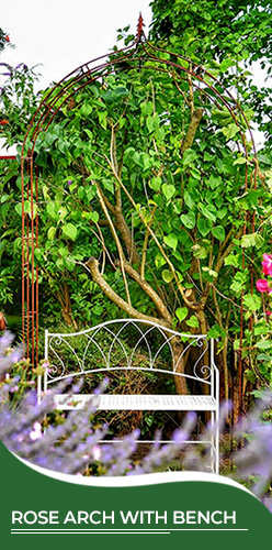 Rose Arch with Bench